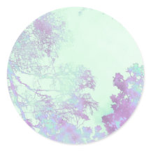 Lavendel Breitblatt Nebel