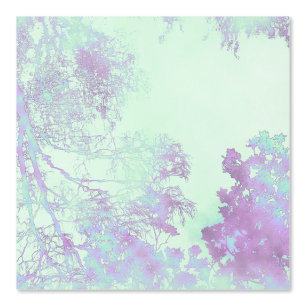 Lavendel Breitblatt Nebel Tapete