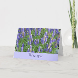 Lavendel Danke