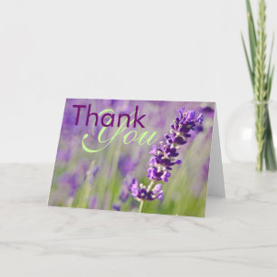 Lavendel • Danke zu kardieren