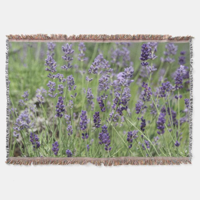Lavendel Decke (Vorderseite)