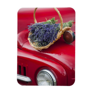 Lavendel Erholung auf alten Lieferwagen LKW Magnet