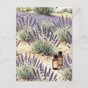 Lavendel-Feld-Ätheröl-Wasserfarben-Muster Postkarte