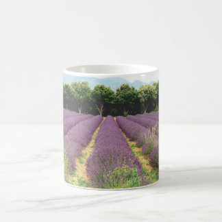 Lavendel-Feld - Drome Provencal, Frankreich Kaffeetasse