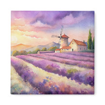 Lavendel Feld in der Provence.