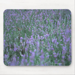 Lavendel-Feld Mousepad