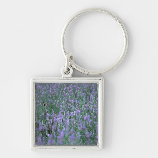 Lavendel-Feld Schlüsselanhänger (Vorne)