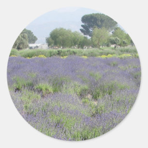 Lavendel-Felder Runder Aufkleber