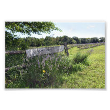 Lavendel Field Sign