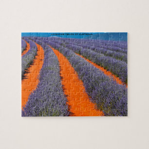 Lavendel Fields von Australien