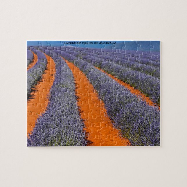 Lavendel Fields von Australien (Horizontal)