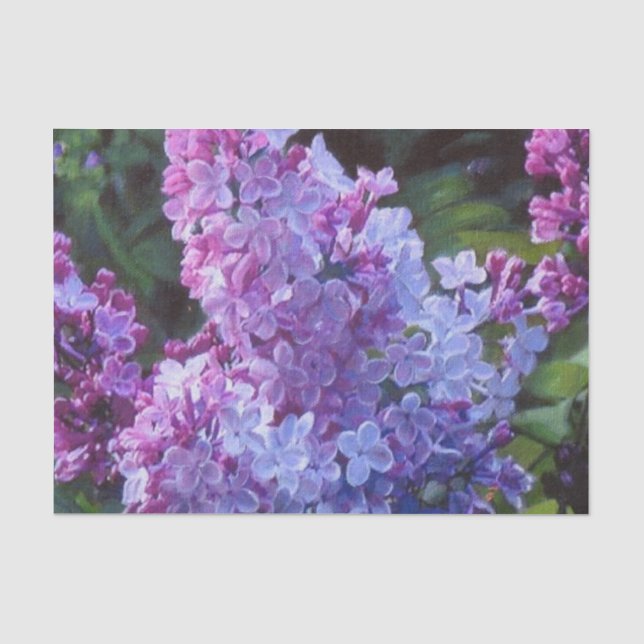 Lavendel-Fliedern Seidenpapier (Vorderseite)