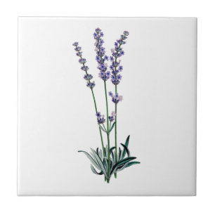 Lavendel Fliese