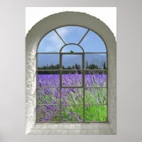 Lavendel Garden Imitate Fensteransicht