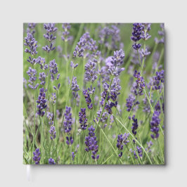 Lavendel Gästebuch