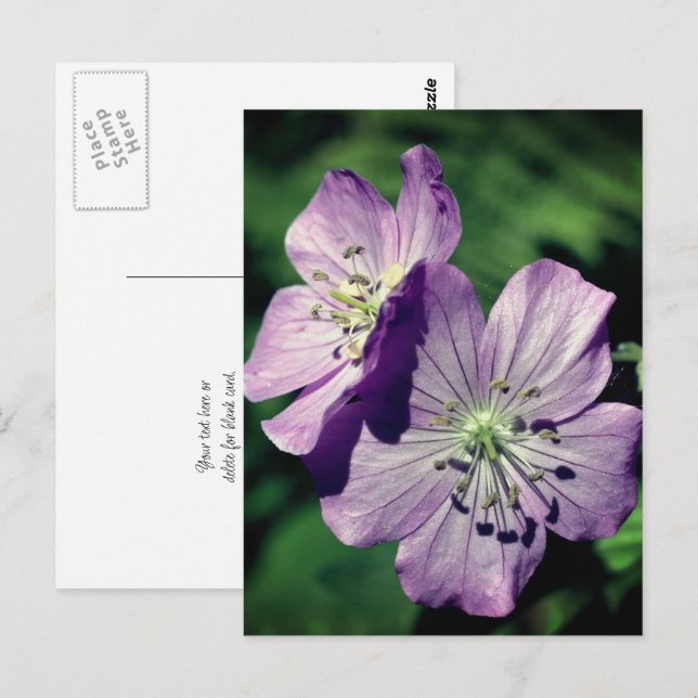 Lavendel Geranium Blüten Personalisiert Postkarte (Vorne/Hinten)