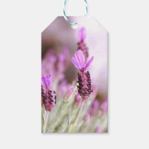 Lavendel-Geschenk-Umbau Geschenkanhänger