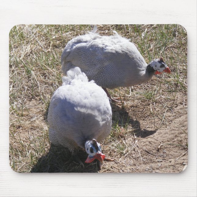 Lavendel-Guinea-Hühner Mousepad (Vorne)