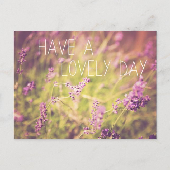 Lavendel, haben eine schöne Tagespostkarte Postkarte (Vorderseite)