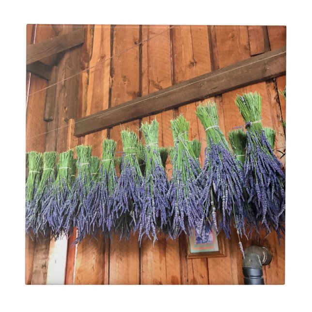 Lavendel hängt in einer Scheune Fliese (Vorderseite)