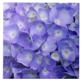 Lavendel Hortensie Fliese