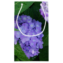 Lavendel Hortensie