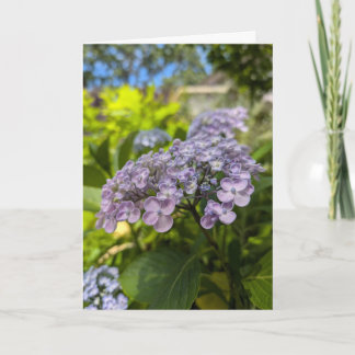 Lavendel-Hortensienblüten Karte