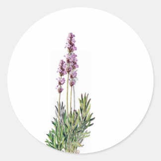 Lavendel in Aufklebern auf der Karte/dem Buchstabe Runder Aufkleber
