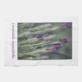 Lavendel in der Blüte Geschirrtuch
