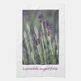 Lavendel in der Blüte Geschirrtuch