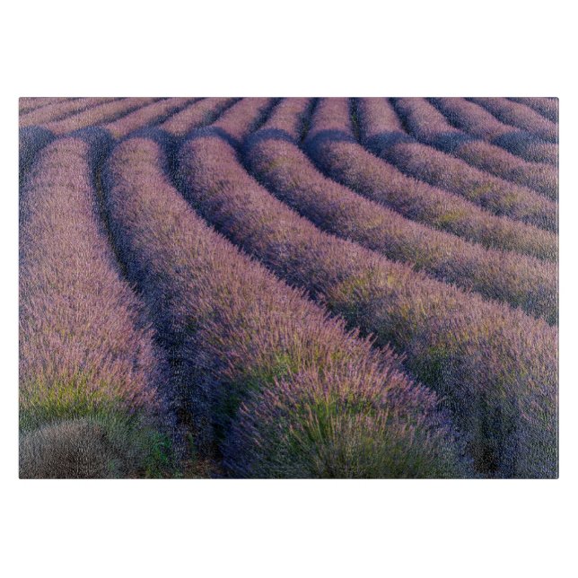 Lavendel in der Provence Schneidebrett (Vorderseite)
