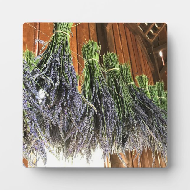 Lavendel in einer Scheune Fotoplatte (Vorderseite)