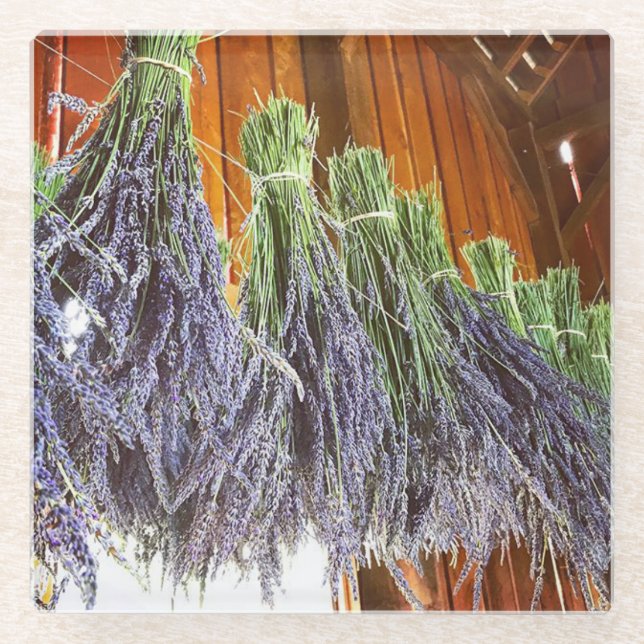 Lavendel in einer Scheune Glasuntersetzer (Vorderseite)