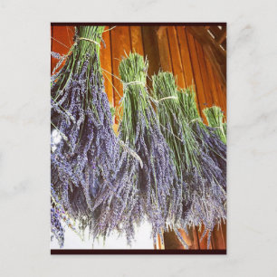 Lavendel in einer Scheune Postkarte