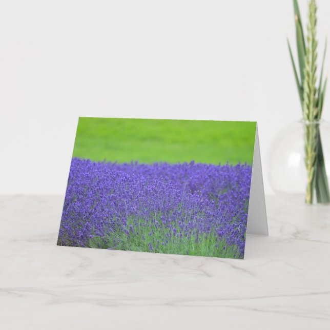 Lavendel Karte (Vorderseite)