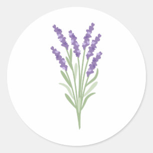 Lavendel-Kraut Runder Aufkleber