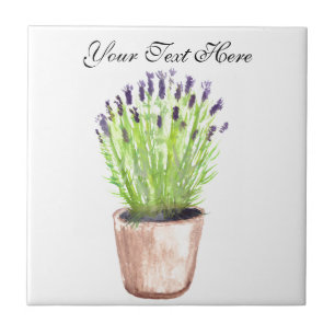 Lavendel-Kräuter-Topfpflanze Aquarell-Küchenfliese Fliese
