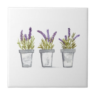 Lavendel-Kräuter-Topfpflanze  Fliese