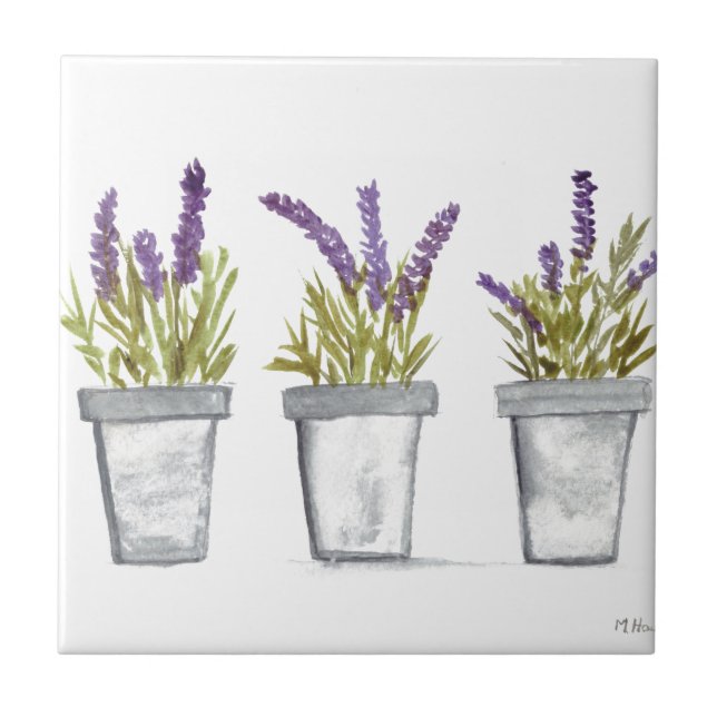 Lavendel Kräuterkasten lila Küche Fliese (Vorderseite)