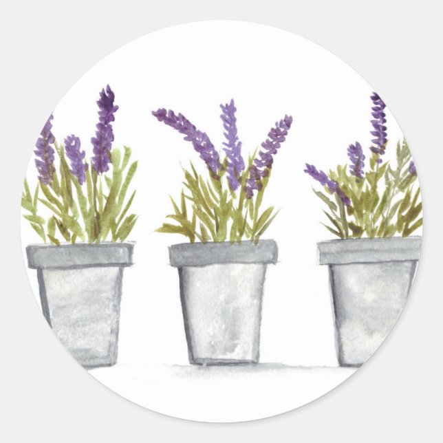 Lavendel Kräutertöpfe Aquarellfarben Blume lila ch Runder Aufkleber (Vorderseite)