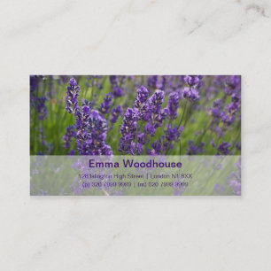 Lavendel Lavendel Visitenkarte