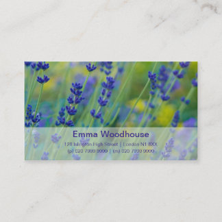Lavendel | Lavendel Visitenkarte