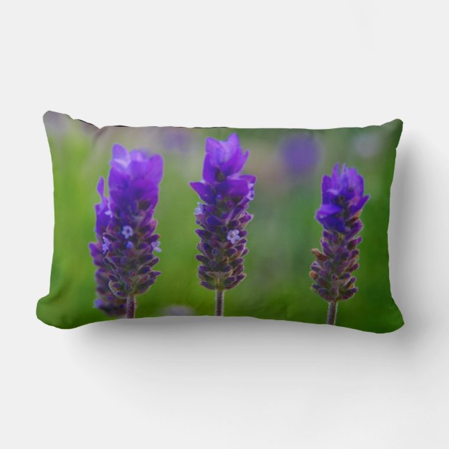 Lavendel Lendenkissen (Vorderseite)