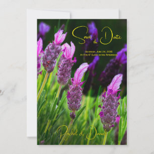 Lavendel, Liebe und Hingabe Gelb, Save the Date Einladung