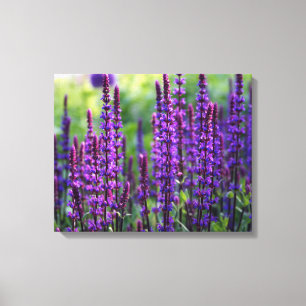 Lavendel-lila Foto-Leinwand Leinwanddruck