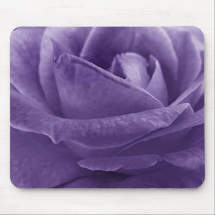 Lavendel Lila Rose Makro Blume Mousepad