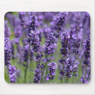 Lavendel-Mauspad Mousepad