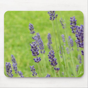 Lavendel Mousepad