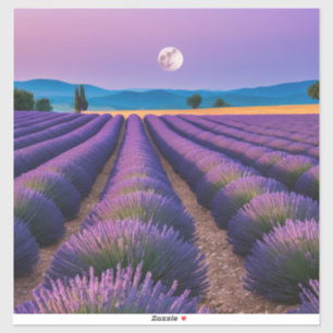 Lavendel Natur Außenwelt Landschaft Ruhe Friedlich Aufkleber