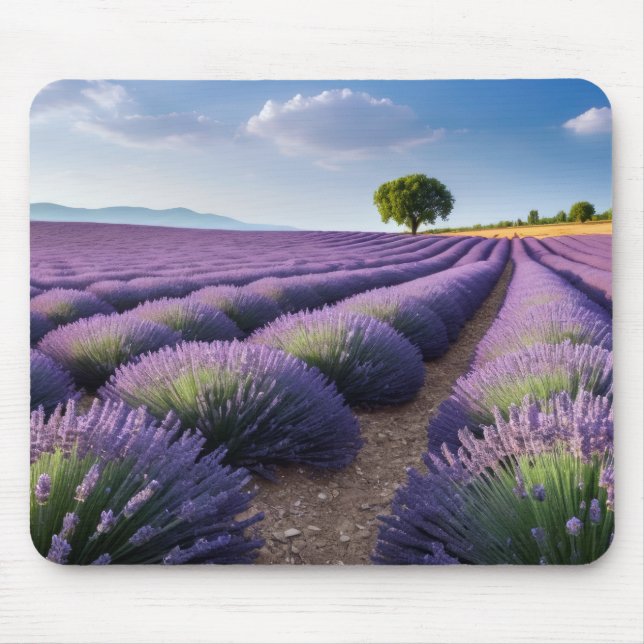 Lavendel Natur Außenwelt Landschaft Ruhe Friedlich Mousepad (Vorne)